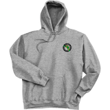 Florida Eels Super Heavyweight Fleece Hoodie