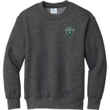 Biggby Spartans Youth Core Fleece Crewneck Sweatshirt